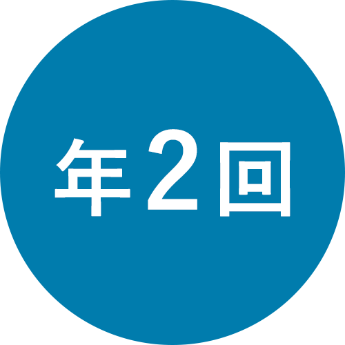 賞与支給「年2回」アイコン